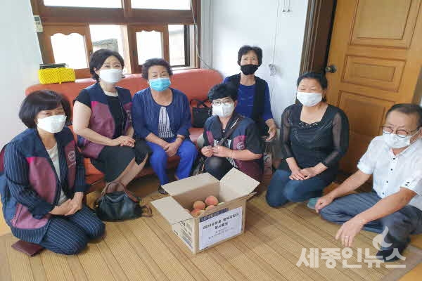 한국자유총연맹 세종시지부, 공동체 행복지킴이 봉사활동 전개