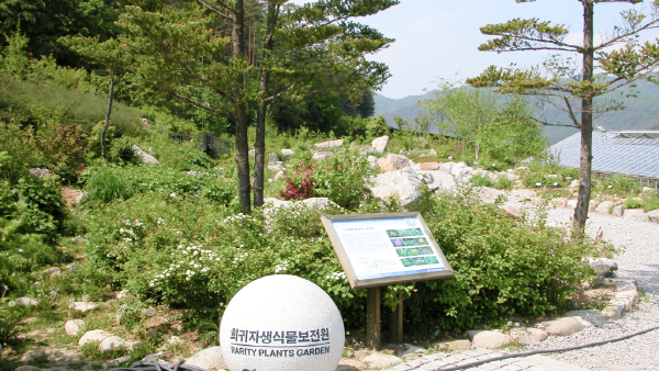 한국자생식물원 멸종위기 및 희귀식물 등 1,432종 209만 그루 전시 