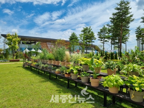 국립세종수목원 정원식물 전시·품평회 출품식물 공개 모집