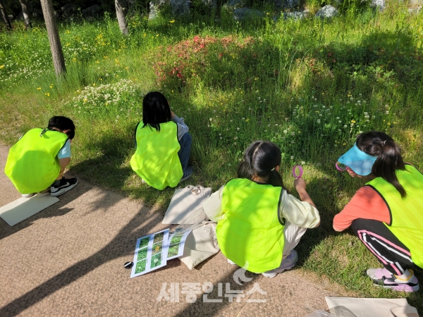 세종시교육청, 2023년 온(溫, on)마을방과후 프로그램 개강